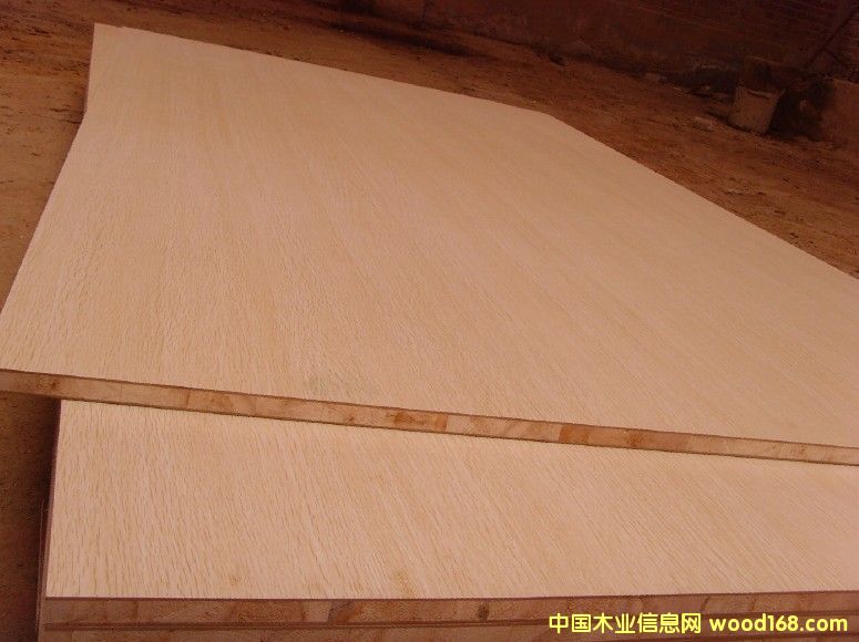 ��(x��)ľ��