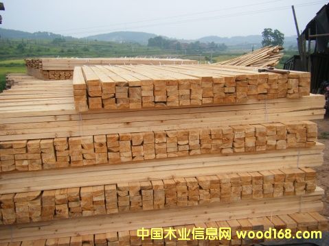 ɼľ����Ԕ��(x��)��B