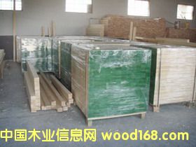 �����ɼ��ɲ�