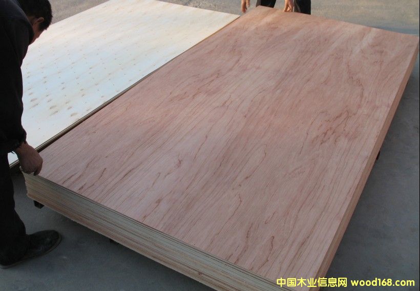 EO E1���ϰ���Ӱ�A��