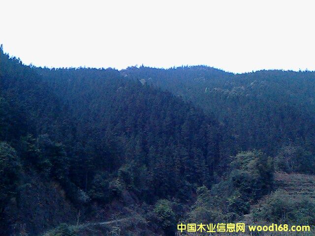 �ֈ�(ch��ng)2��Ԕ��(x��)��B