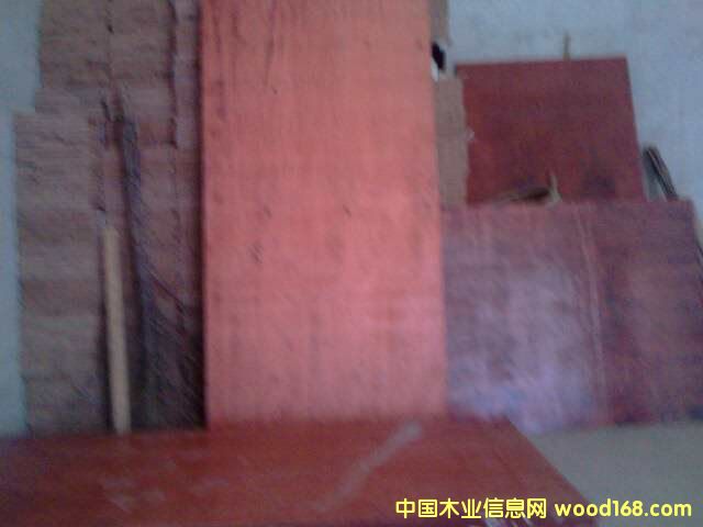 ģ���Ԕ��(x��)��B