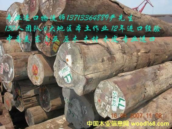 �M�ڱ���ľ��/����ľ��/����ľ���M�ڈ��P(gu��n)