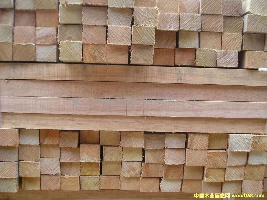 �c���鿴����ľ�Ŵ�DƬ