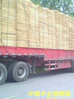 ��Ƥ���ΰ��Ԕ��(x��)��B