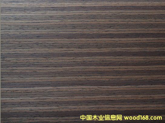 �t��֦023S��Ԕ����B