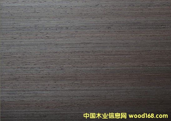 ɳ����2237Q��Ԕ����B