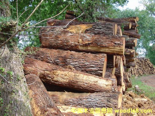 ����(gu��)�Ϸ������ɵ�Ԕ��(x��)��B