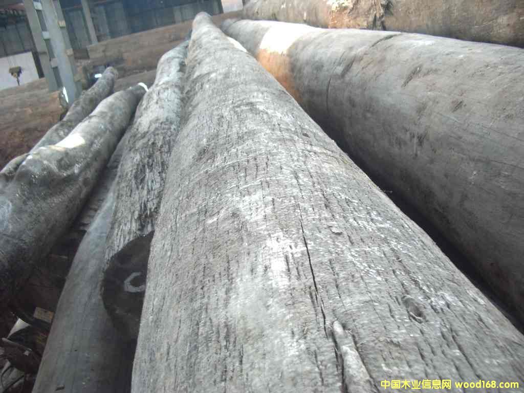 �ʹP����/���/ԭ�ĵ�Ԕ��(x��)��B