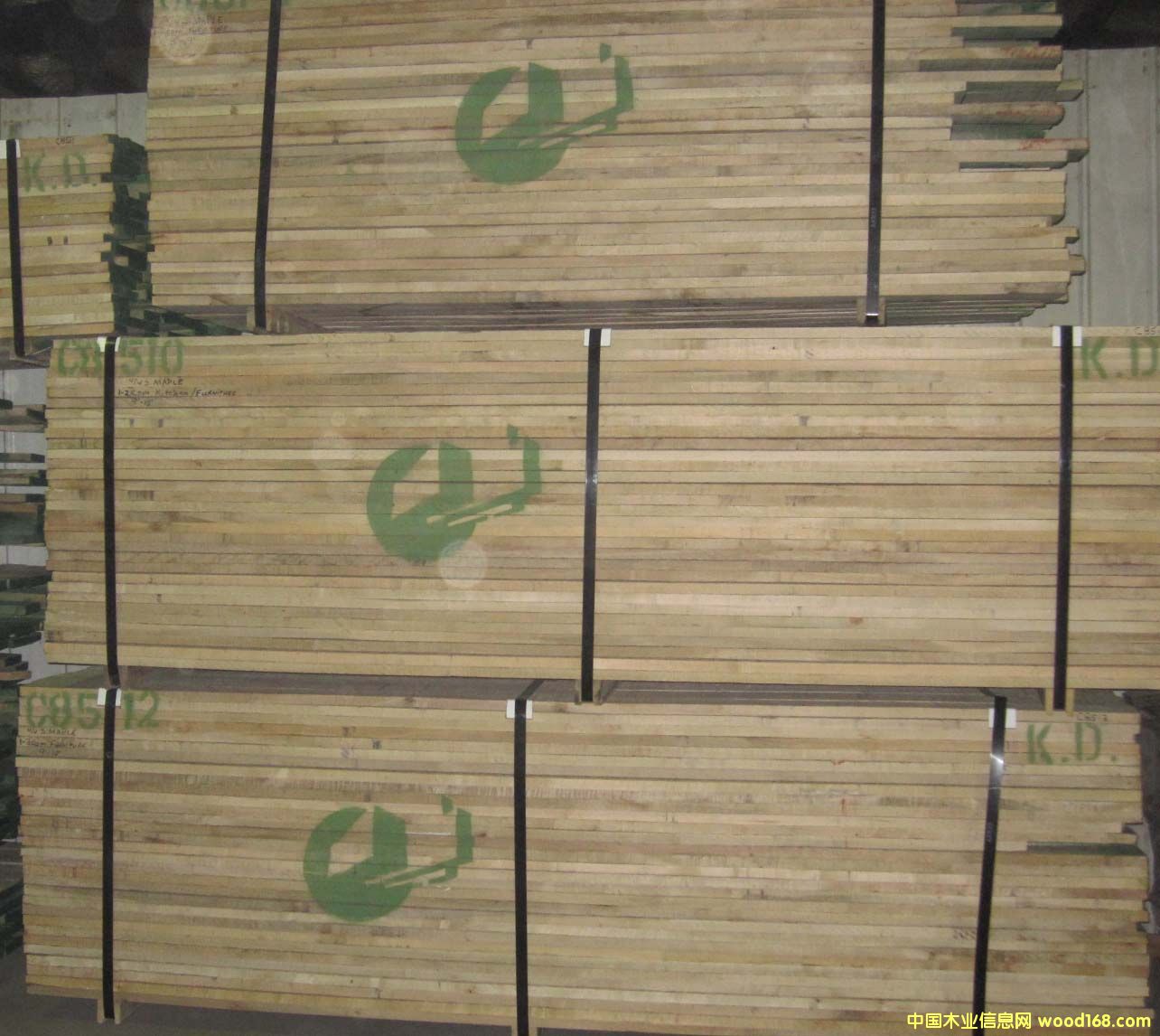 �t����һ���