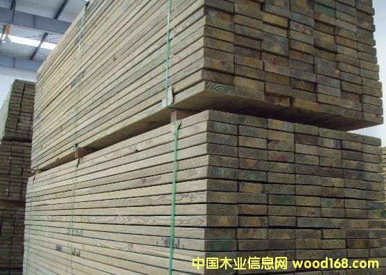 ����ľ��Ԕ����B