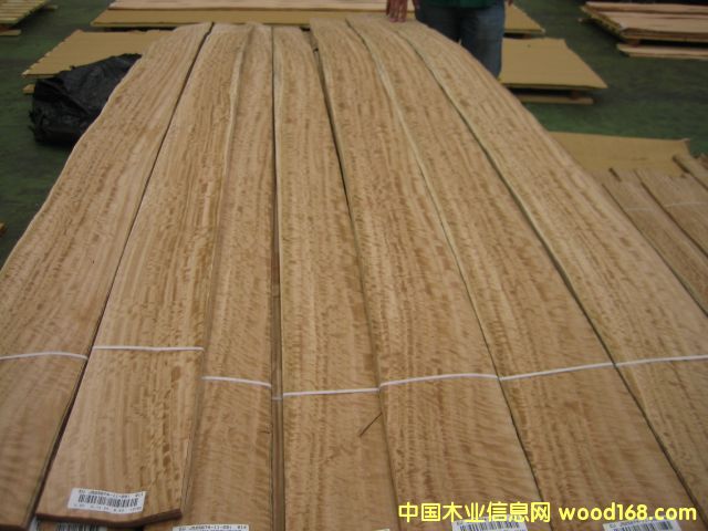 �ȼ���ľƤ��Ԕ����B