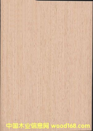 ����#19��Ԕ��(x��)��B