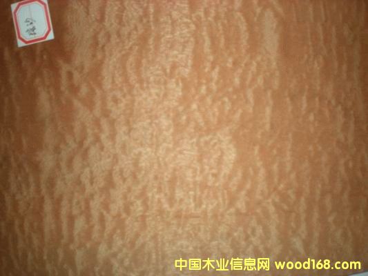 ��Ӱɳ����ľƤ��Ԕ��(x��)��B