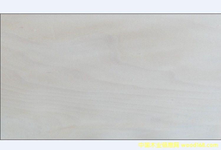 ��ľ��������Ԕ��(x��)��B