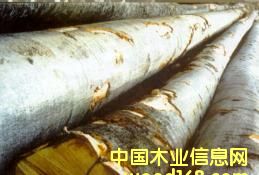 ɽë��ԭľ��Ƭ