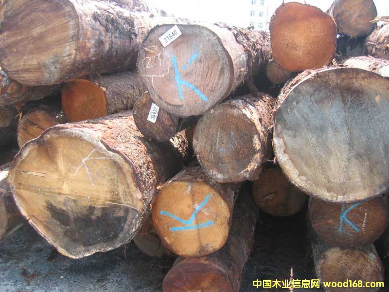 ��ɼԭľ��Ԕ��(x��)��B