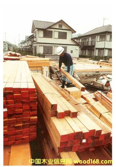 �Fɼ-��ɼ��Ԕ��(x��)��B