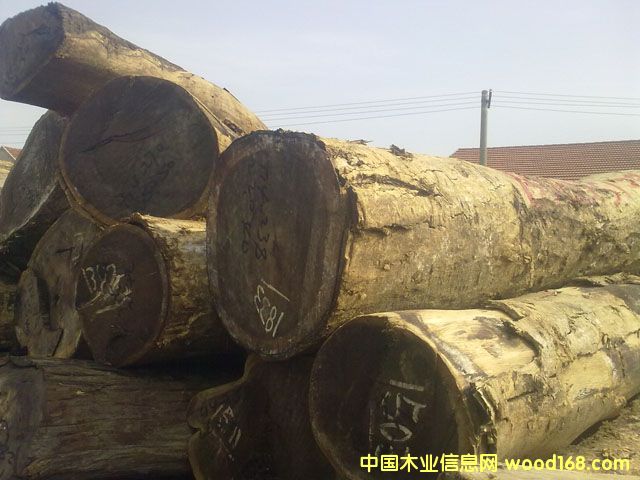 �u���Ԕ��(x��)��B