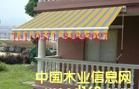 ����������Ԕ����B