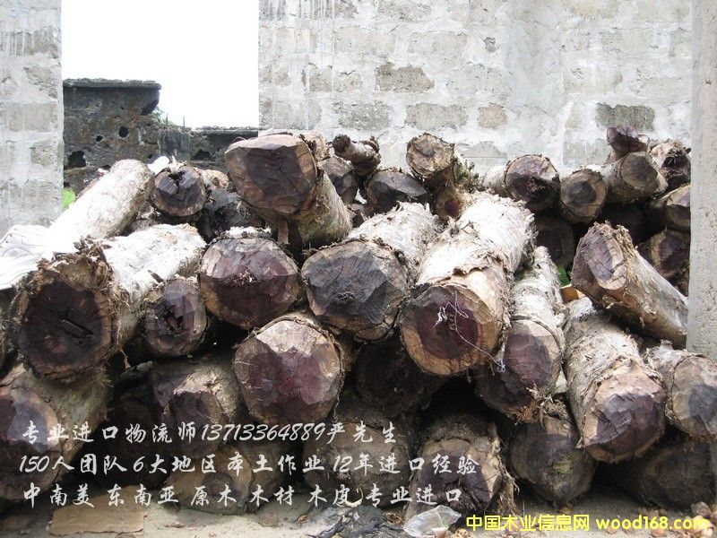 �c(di��n)���鿴�W��ľ��ԭľ�M(j��n)�ڷŴ�DƬ