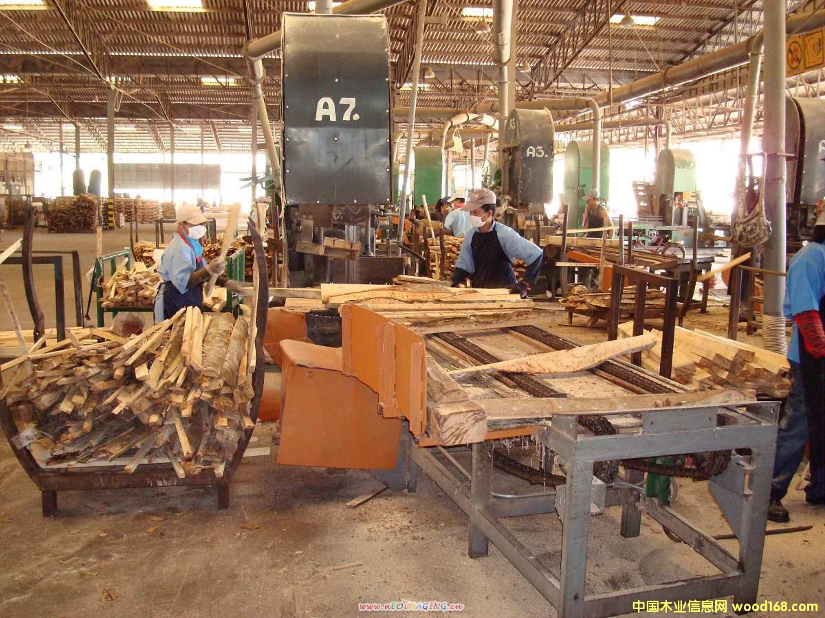 ������ԭľ�M(j��n)��