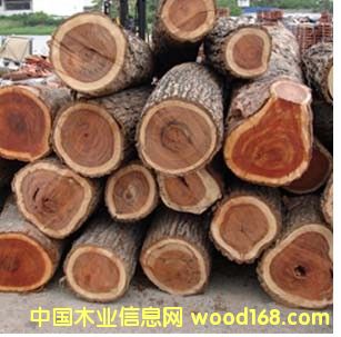 ���Ļ�ľ��Ԕ��(x��)��B