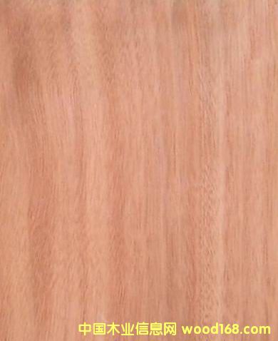 �W�����ΰ��Ԕ����B