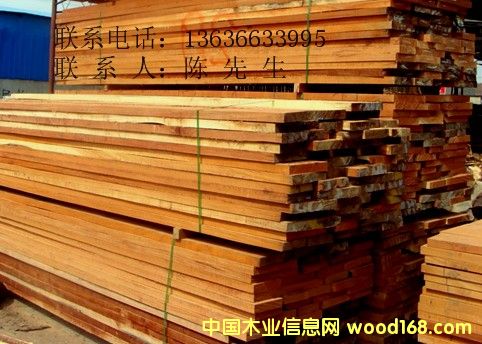 ��������˹��Ԕ����B