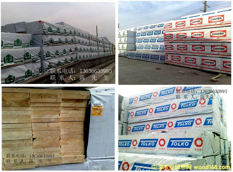 ���ô�SPF��ģ����ɣ�