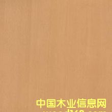 �t�� ����