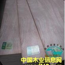 1.7ɼľ��(x��)ľ����E1