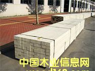 �c(di��n)���鿴��ľLVL�Ŵ�DƬ