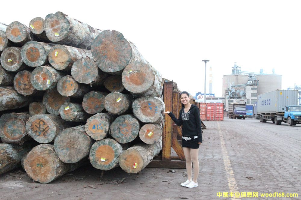 �����mݗ����