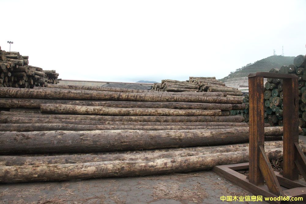 ����(gu��)������