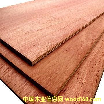 17MM��ˮĤ����ģ��