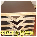 ������(chu��ng)Դ-��Ĥ���Ԕ��(x��)��B