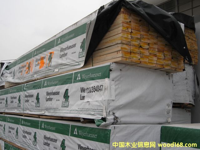 SPF��Ԕ����B