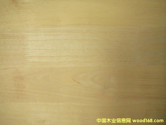 ���zľָ�Ӱ��Ԕ��(x��)��B