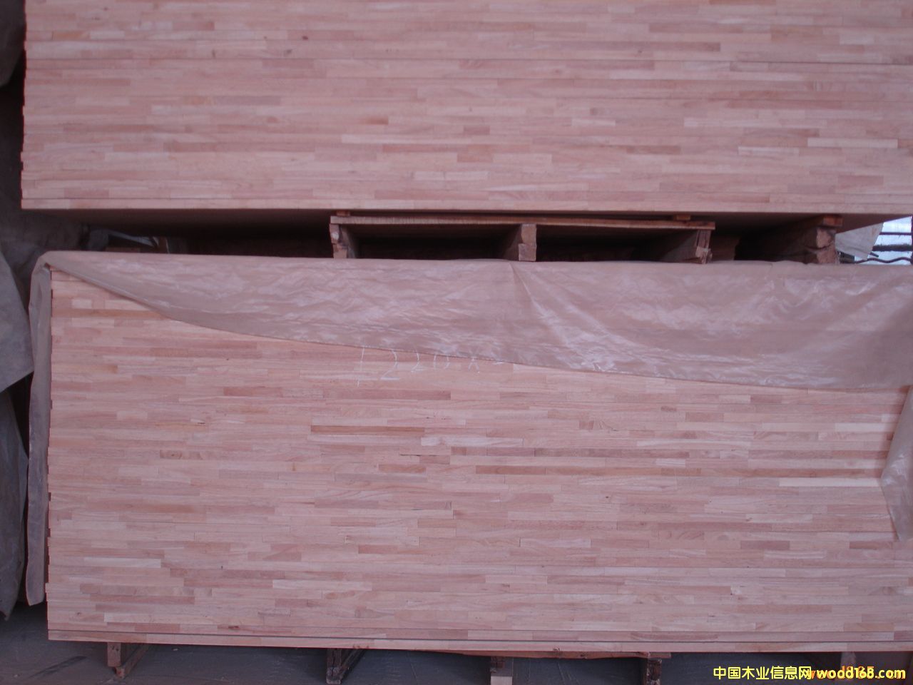 ���zľָ�Ӱ��Ԕ��(x��)��B