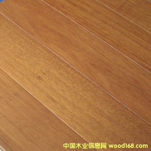 ����(y��ng)�һ�о��(sh��)ľ�ذ��Ԕ��(x��)��B