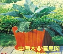 ľ�|(zh��)����