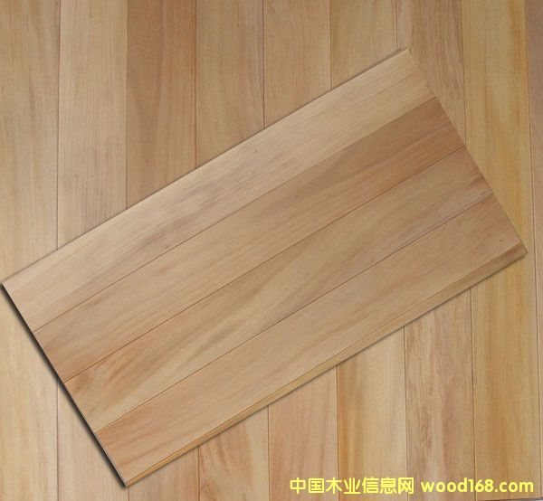 �c���鿴���ɲķŴ�DƬ