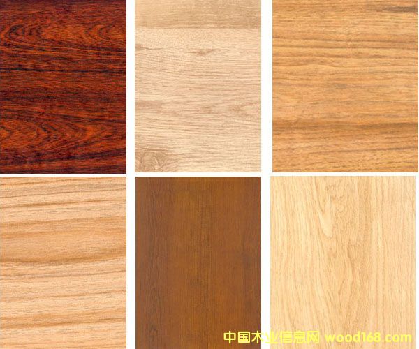 ���ȩ���ܶȰ�