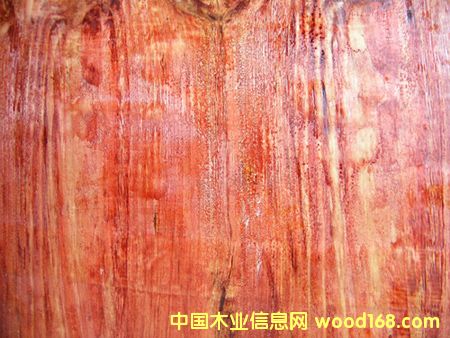 �����ƽ����������������z��