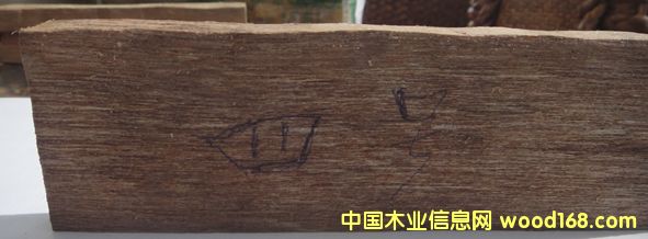 ����ľ��Ԕ��(x��)��B