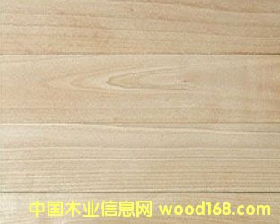 ��(sh��)ľ�ذ��Ԕ��(x��)��B