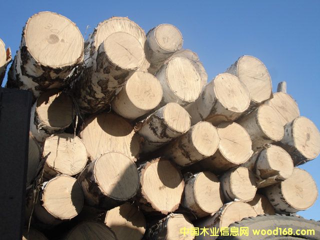 ���_˹�ט�3��Ԕ��(x��)��B