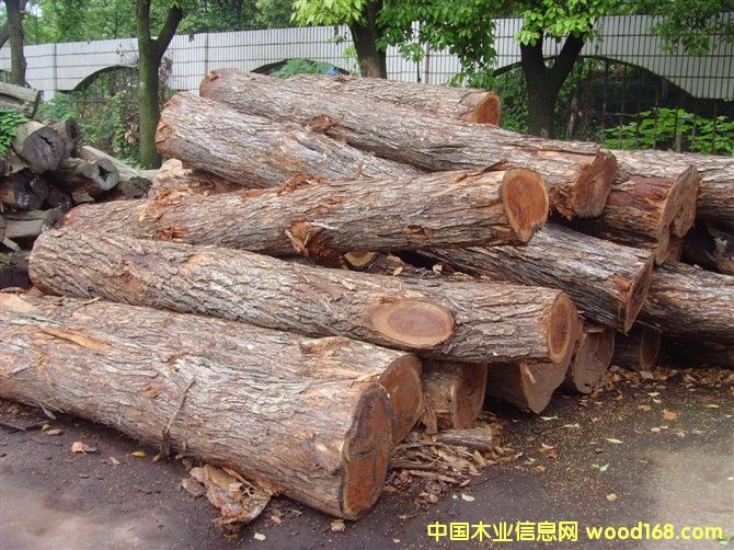 �t�F����Ԕ��(x��)��B