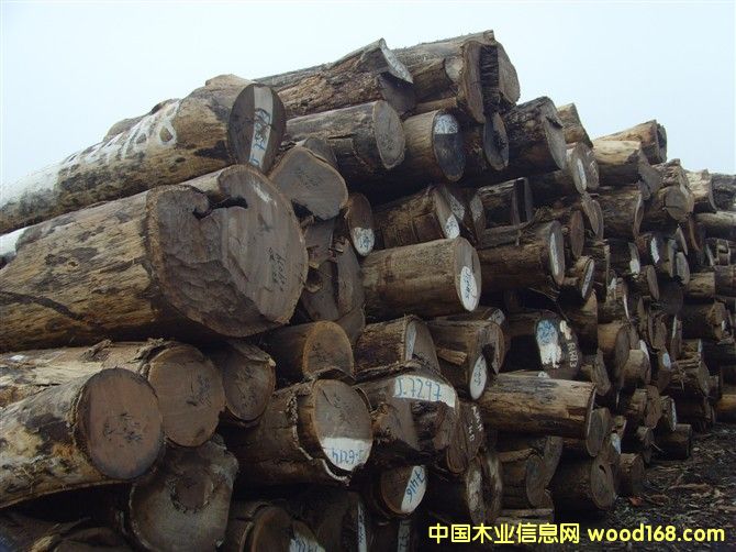 С�u���Ԕ��(x��)��B